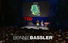Бонни Басслер — Как общаются бактерии