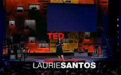 Лори Сантос — Люди так же иррациональны в экономике, как и обезьяны